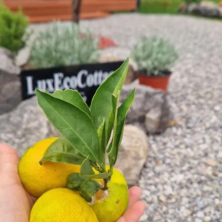 Appartement Luxecocottage *