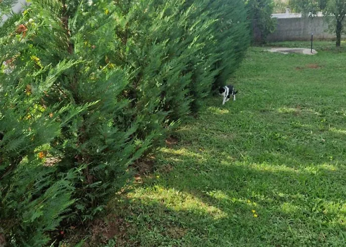 Appartement Luxecocottage *