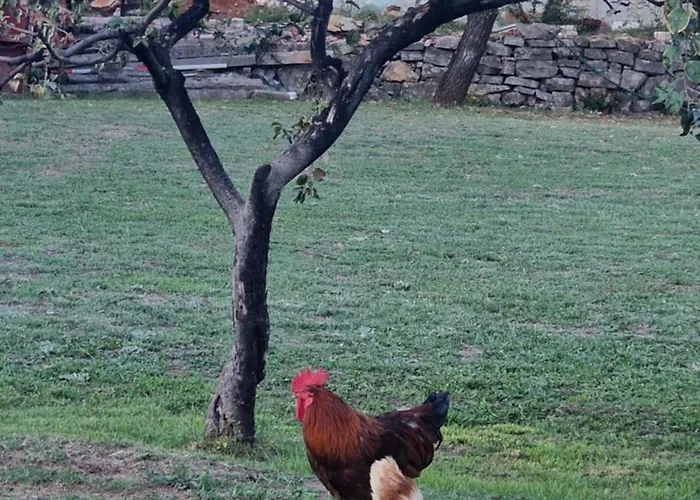 Luxecocottage Appartement *