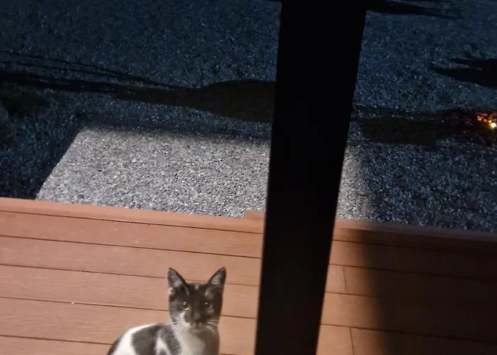 Luxecocottage Appartement *