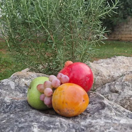 公寓 Luxecocottage *