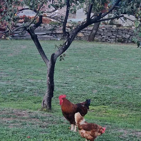 Luxecocottage شقة *