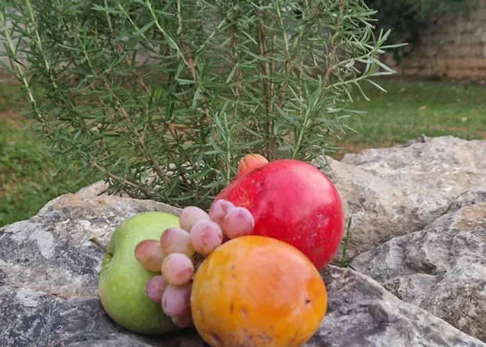 Apartment Luxecocottage *